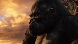 Jack Black, Peter Jackson, Naomi Watts, Adrien Brody - промо стиль и постеры к фильму "King Kong (Кинг Конг)", 2005 (177хHQ) Jus8Kvzl