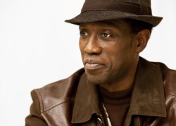 Wesley Snipes - Wesley Snipes - "Brooklyn's Finest" press conference portraits by Armando Gallo (Los Angeles, March 4, 2010) - 20xHQ S9TT9am1